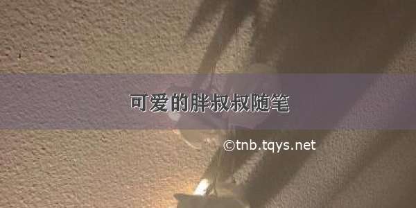 可爱的胖叔叔随笔