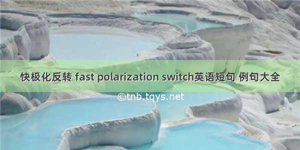 快极化反转 fast polarization switch英语短句 例句大全