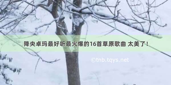 降央卓玛最好听最火爆的16首草原歌曲 太美了！