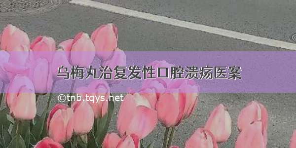 乌梅丸治复发性口腔溃疡医案