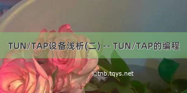 TUN/TAP设备浅析(二) -- TUN/TAP的编程