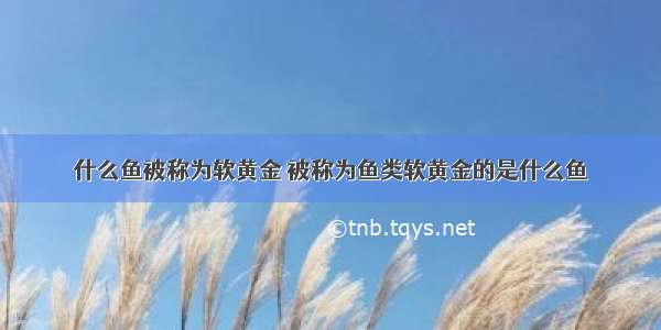 什么鱼被称为软黄金 被称为鱼类软黄金的是什么鱼