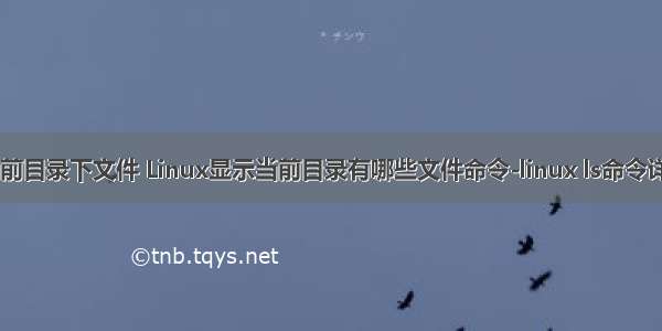 linux显示当前目录下文件 Linux显示当前目录有哪些文件命令-linux ls命令详解-嗨客网...