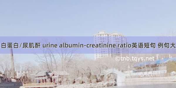 尿白蛋白/尿肌酐 urine albumin-creatinine ratio英语短句 例句大全