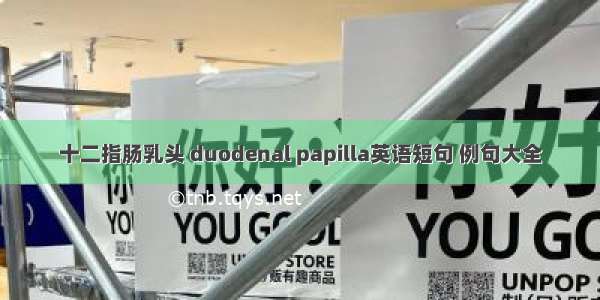 十二指肠乳头 duodenal papilla英语短句 例句大全