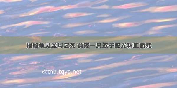 揭秘龟灵圣母之死 竟被一只蚊子吸光精血而死