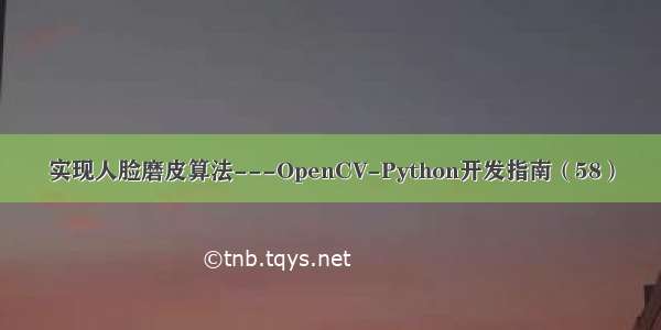 实现人脸磨皮算法---OpenCV-Python开发指南（58）