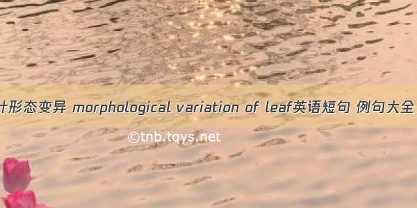 叶形态变异 morphological variation of leaf英语短句 例句大全