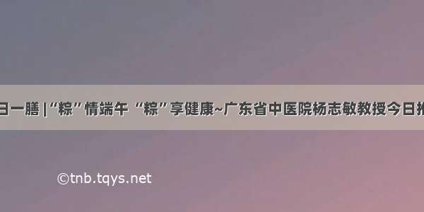 每日一膳 |“粽”情端午 “粽”享健康~广东省中医院杨志敏教授今日推荐