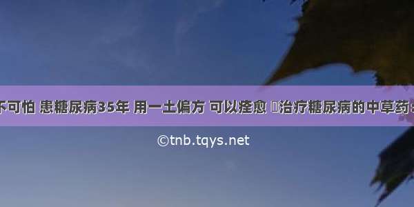 糖尿病不可怕 患糖尿病35年 用一土偏方 可以痊愈 ​治疗糖尿病的中草药：地锦草