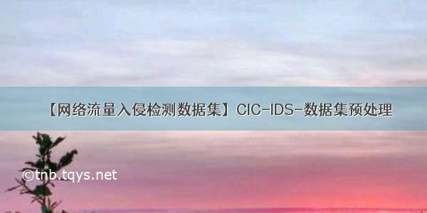 【网络流量入侵检测数据集】CIC-IDS-数据集预处理