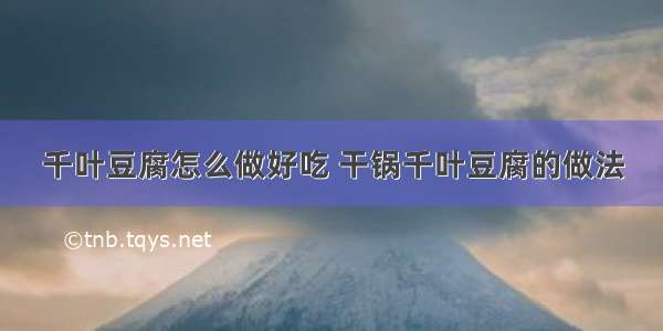 千叶豆腐怎么做好吃 干锅千叶豆腐的做法