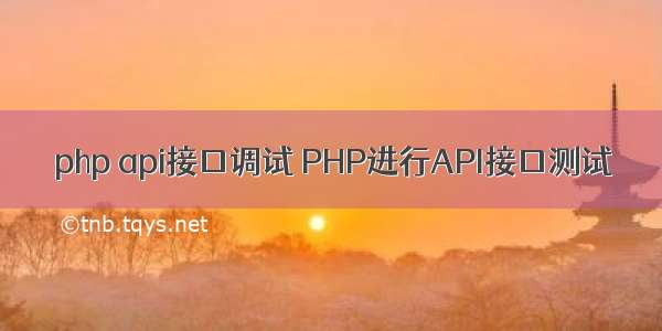 php api接口调试 PHP进行API接口测试