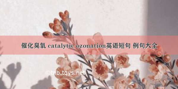 催化臭氧 catalytic ozonation英语短句 例句大全