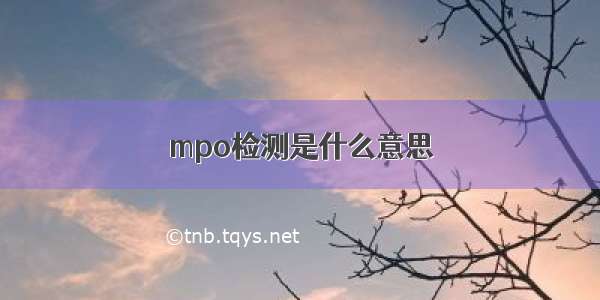 mpo检测是什么意思