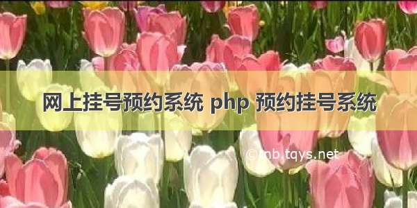 网上挂号预约系统 php 预约挂号系统