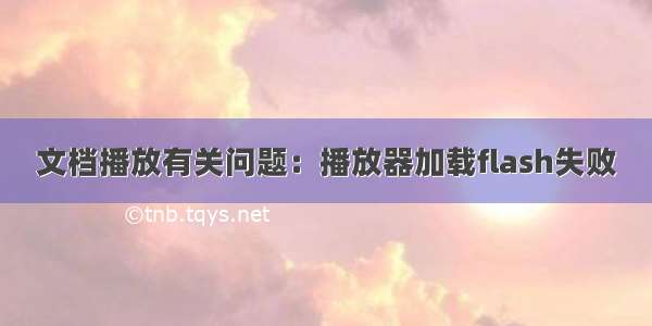 文档播放有关问题：播放器加载flash失败