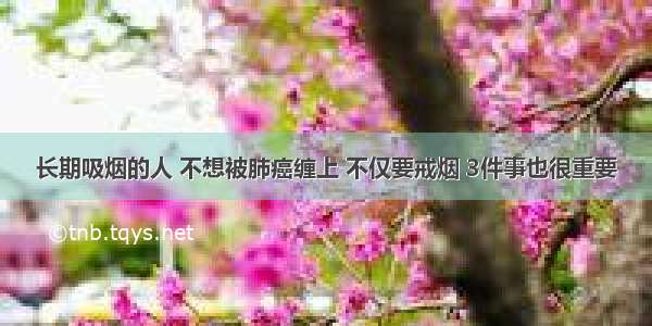 长期吸烟的人 不想被肺癌缠上 不仅要戒烟 3件事也很重要