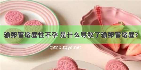 输卵管堵塞性不孕 是什么导致了输卵管堵塞?