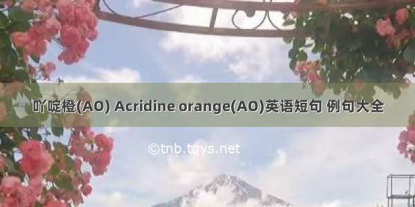 吖啶橙(AO) Acridine orange(AO)英语短句 例句大全