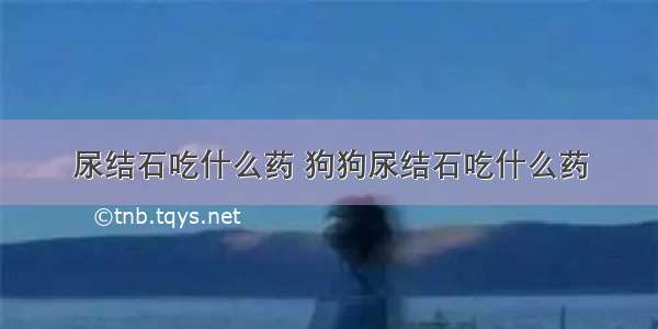 尿结石吃什么药 狗狗尿结石吃什么药