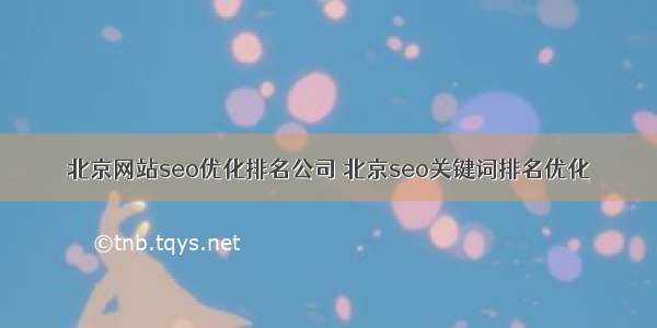 北京网站seo优化排名公司 北京seo关键词排名优化