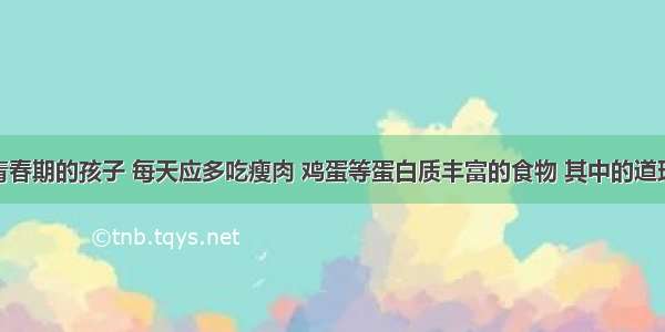 单选题处于青春期的孩子 每天应多吃瘦肉 鸡蛋等蛋白质丰富的食物 其中的道理是A.青少年