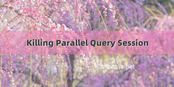 Killing Parallel Query Session