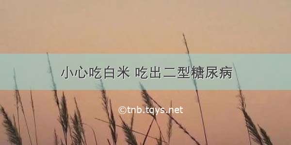 小心吃白米 吃出二型糖尿病