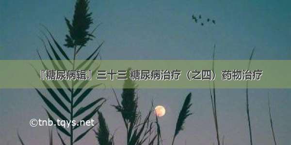 『糖尿病辑』三十三 糖尿病治疗（之四）药物治疗