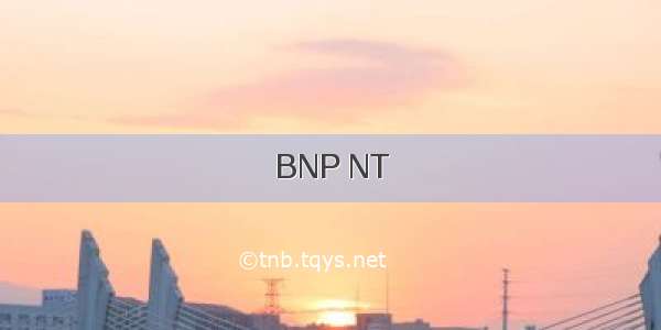 BNP NT