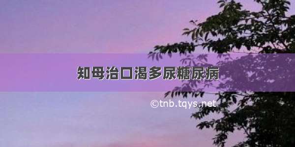 知母治口渴多尿糖尿病