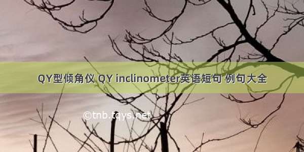 QY型倾角仪 QY inclinometer英语短句 例句大全