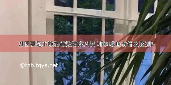 刀匠要是不能把破烂做成刀具 那和咸鱼有什么区别？