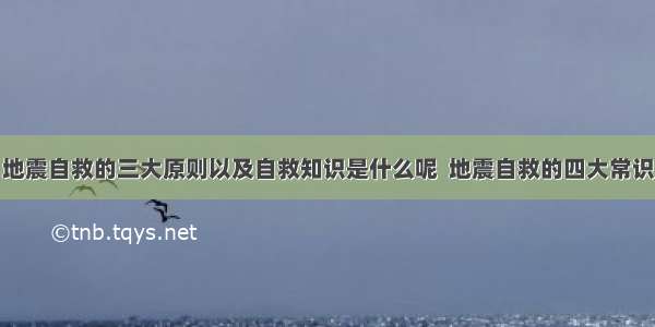 地震自救的三大原则以及自救知识是什么呢  地震自救的四大常识