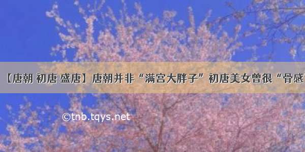 【唐朝 初唐 盛唐】唐朝并非“满宫大胖子”初唐美女曾很“骨感”