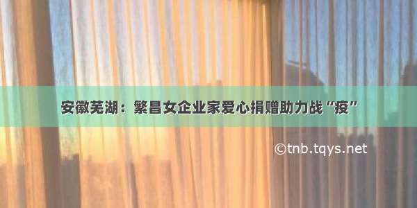 安徽芜湖：繁昌女企业家爱心捐赠助力战“疫”