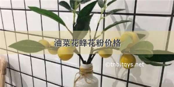 油菜花蜂花粉价格