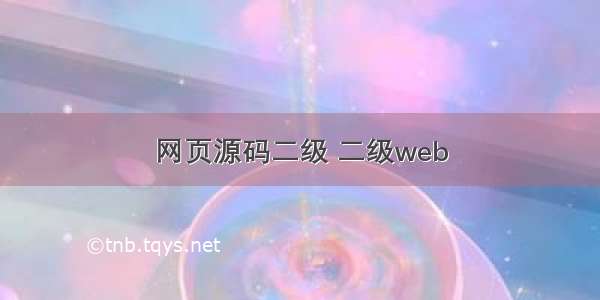 网页源码二级 二级web