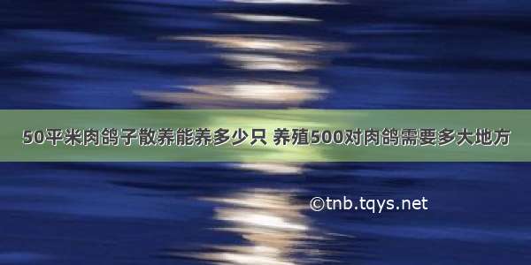 50平米肉鸽子散养能养多少只 养殖500对肉鸽需要多大地方