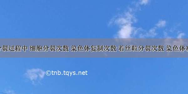 在减数分裂过程中 细胞分裂次数 染色体复制次数 着丝粒分裂次数 染色体减半次数 