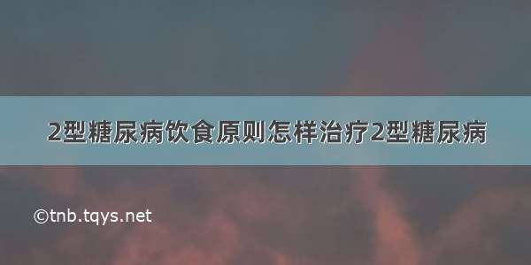 2型糖尿病饮食原则怎样治疗2型糖尿病