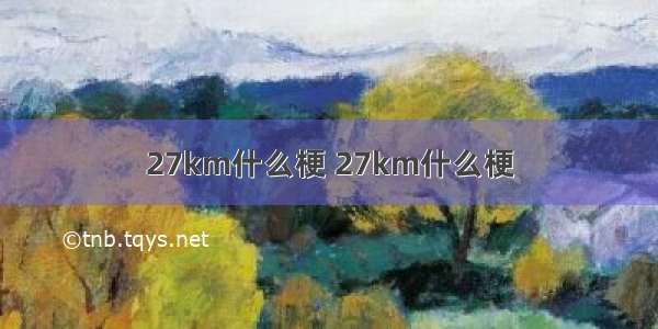 27km什么梗 27km什么梗