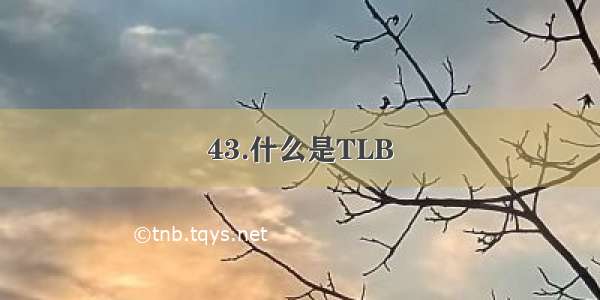 43.什么是TLB