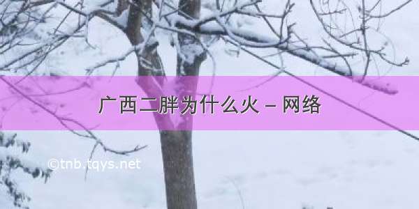 广西二胖为什么火 – 网络