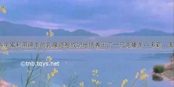 1996年英国科学家利用绵羊的乳腺细胞成功地培养出了一只克隆羊--多莉．图是克隆过程示