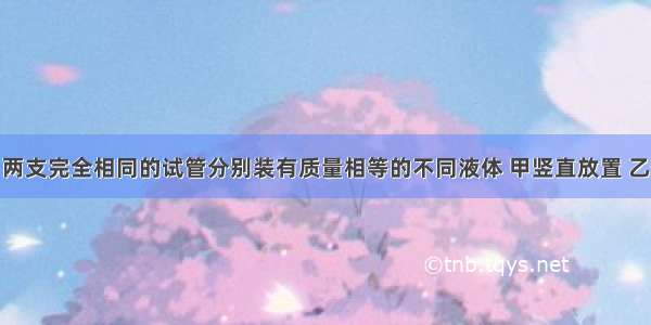 如图所示 两支完全相同的试管分别装有质量相等的不同液体 甲竖直放置 乙倾斜放置 