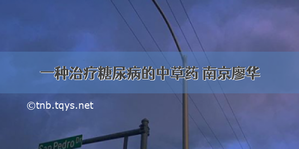 一种治疗糖尿病的中草药 南京廖华