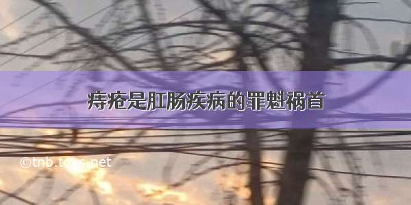 痔疮是肛肠疾病的罪魁祸首