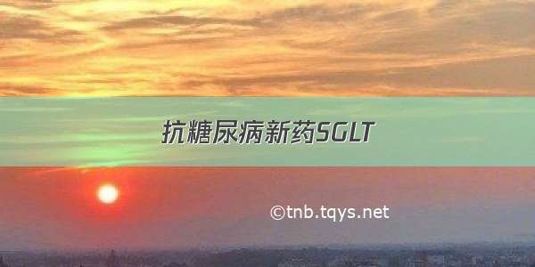 抗糖尿病新药SGLT